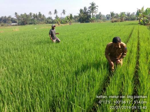 Download Pemanfaatan Sumber Daya Alam Sebagai Bahan Pangan Di Indonesia Adalah
&nbsp;PNG