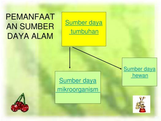 Get Pemanfaatan Sumber Daya Alam Sebagai Bahan Pangan Di Indonesia Adalah
&nbsp;Images