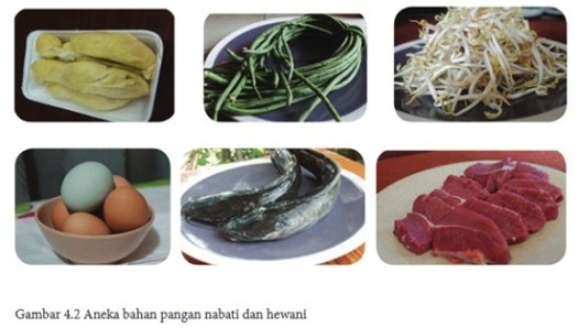Bahan utama produk makanan khas daerah adalah bahan nabati atau hewani. Materi Pengolahan Dan Kewirausahaan Bahan Nabati Menjadi Makanan Khas Daerah Pustaka Belajar