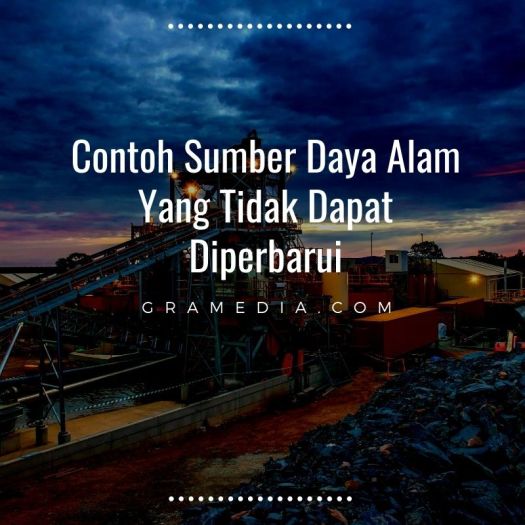 14+ Apakah Yang Akan Terjadi Apabila Salah Satu Organisme Tidak Tersedia Di Alam
&nbsp;Pics