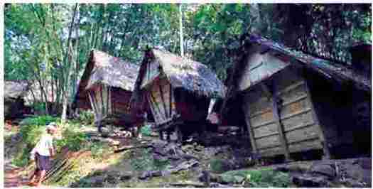 Download Adakah Kesamaan Cara Hidup Suku Bangsa Baduy Dengan Suku Bangsamu
&nbsp;Pics