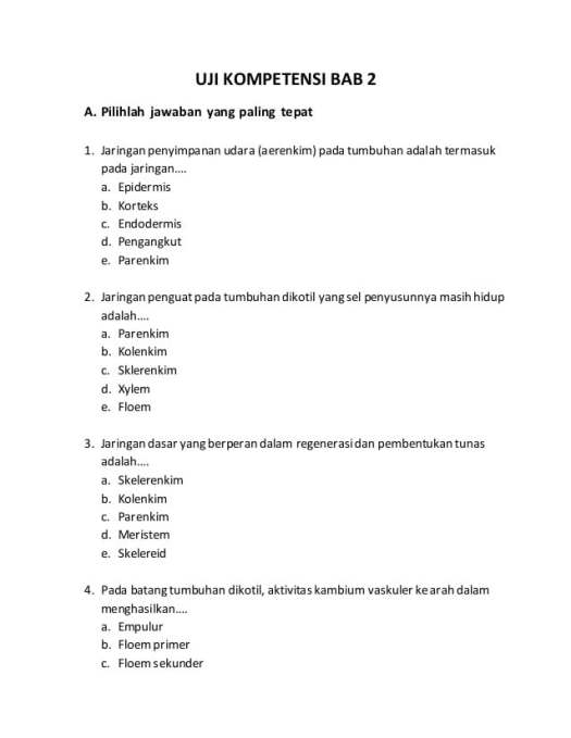 23+ Benua Yang Pertambahan Penduduknya Lebih Banyak Karena Migrasi Masuk Adalah
&nbsp;Pictures