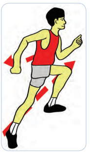 29+ Gerakan Yang Tidak Dilakukan Pada Saat Lari Jarak Pendek Adalah
&nbsp;Background