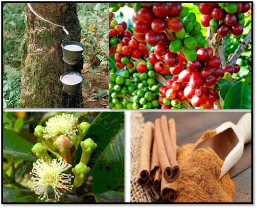 View Komoditas Ekspor Indonesia Yang Berasal Dari Hasil Pertanian Antara Lain
&nbsp;Background