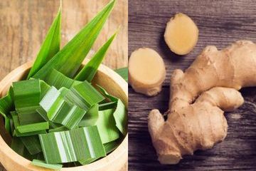 24+ Jahe Dan Kunyit Adalah Tumbuhan Yang Banyak Dimanfaatkan Manusia Untuk Bahan
&nbsp;Images