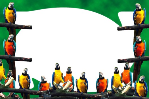 Download Karya Seni Rupa Yang Dibuat Dari Berbagai Foto Atau Gambar Disebut&nbsp;Pics