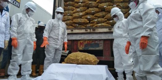 View Komoditas Apakah Yang Tidak Bisa Dipenuhi Oleh Jepang Sehingga Harus Dipasok Dari Negara Lain
&nbsp;Pics