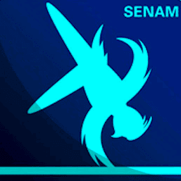 20+ Posisi Badan Yang Benar Pada Saat Akan Melakukan Gerakan Meroda Adalah&nbsp;Pictures