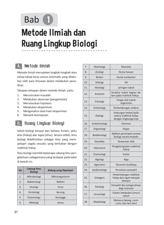 28+ Satuan Unit Terkecil Di Ginjal Yang Bertugas Membentuk Urine Adalah&nbsp;Pics