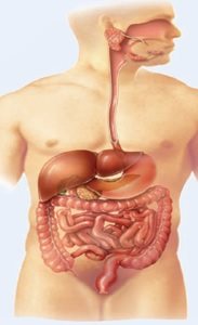 27+ Penyerapan Air Yang Terlalu Banyak Pada Usus Besar Akan Menyebabkan Penyakit
&nbsp;PNG