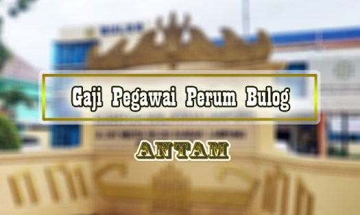 19+ Bulog Merupakan Salah Satu Badan Usaha Milik Negara Yang Berbentuk&nbsp;Gif